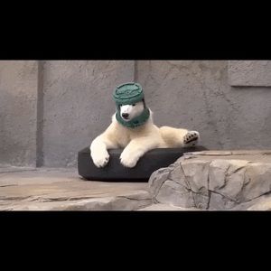 Meet your Posher, Ernesto